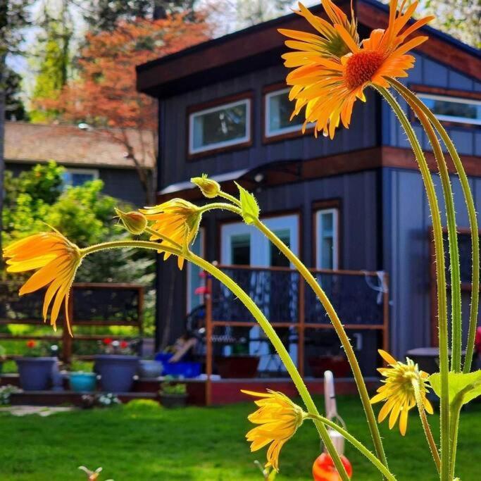 Tiny House With Hot Tub, Close To Golf And Hiking!! * Campbell River
